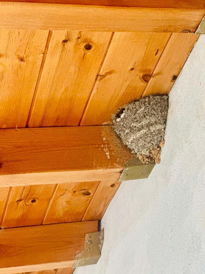 Villa Vista Himarë Eksteriør billede